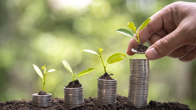 person's hand stacking small plants on top of coins