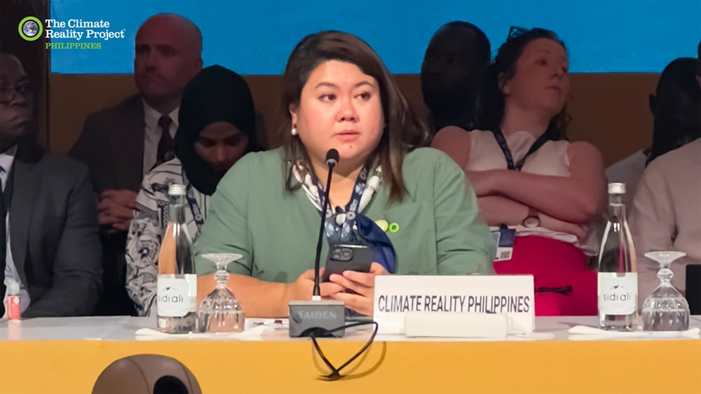 nazrin castro speaking at a table during the world bank meeting