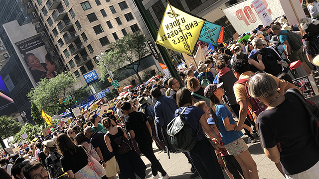 group of people in a climate advocacy rally