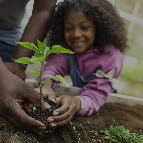 child planting flower