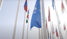 UN flags