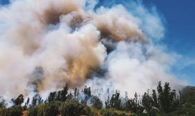 Image of wildfire smoke and a forest.