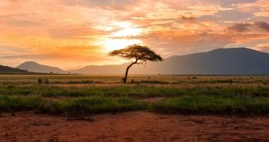 Kenya Landscape