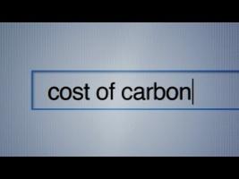 CostOfCarbon