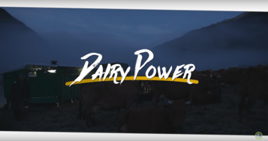 dairypower head