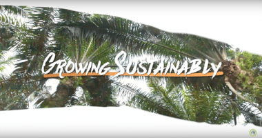 growingsustain head