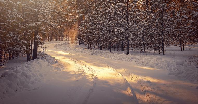 Will the early spring freeze affect plants? It depends, News